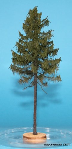Go to product FREON MPW1 - European larch - high trunk - ht. 18-20 cm