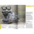 abrams-squad-celtic-storm3.jpg