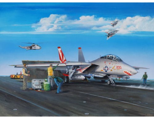Go to product TRUMPETER 03201 - 1:32 F-14A Tomcat