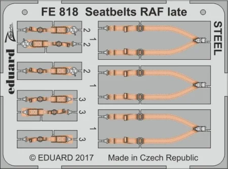 FE818.jpg