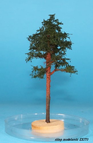 Go to product FREON SOM3 - Young pine - ht. 8-12 cm