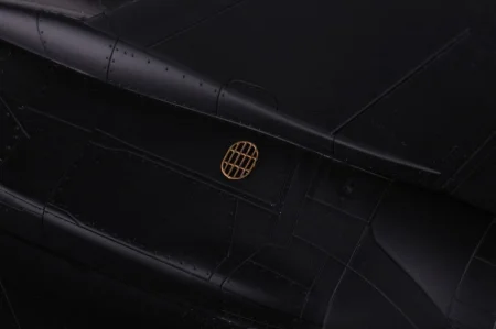 48909_11.jpg