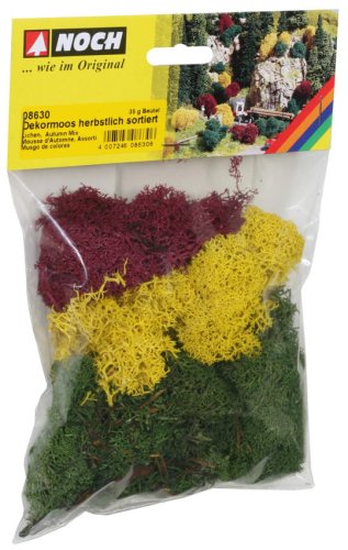 Go to product NOCH 08630 - Lichen / moss - Autumn mix 35g