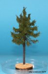 FREON MPW3 - European larch - high trunk - ht. 8-12 cm