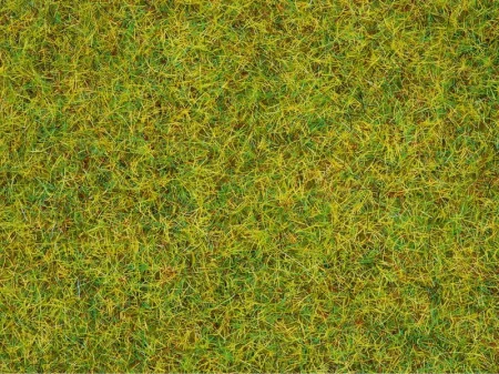 50190 1.jpg