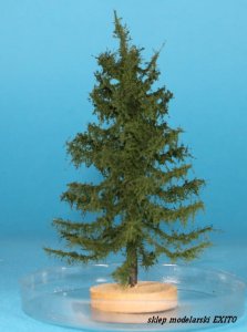 FREON MPN3 - European larch - low trunk - ht. 8-12 cm