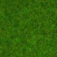 Go to product NOCH 08214 - Scatter Grass Ornamental Lawn 20 g