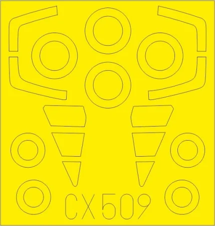 CX509.jpg