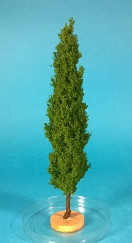 Go to product FREON TOP1 - Poplar tree 18-20 cm