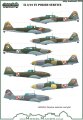 D72049-IL-2-10-in-Polish-service-565-1.jpg