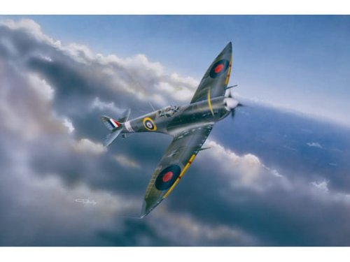Go to product TRUMPETER 02413 - 1:24 Spitfire Mk.VI