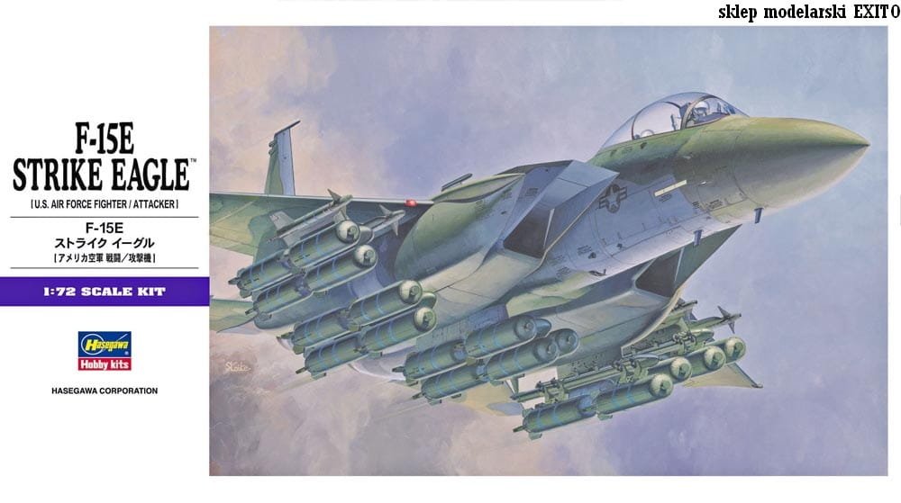 E10.jpg