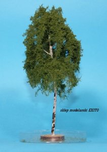 FREON BR1 - Birch - ht. 18-20 cm