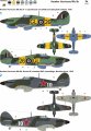 3019 camuglahe 1.jpg