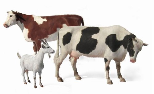Go to product MASTER BOX 3566 - 1:35 Domestic Animals
