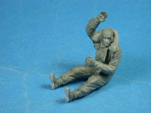 Go to product COPPER STATE MODELS CSM F32024 - 1:32 RFC Pilot in the cockpit