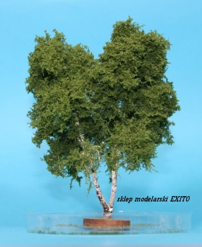 Go to product FREON BRK2 - Birch two trunks - ht. 14-18 cm