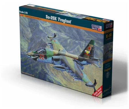 E-10 Su-25.jpg