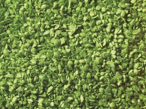 NOCH 07152 - Leaves Light Green 100 g