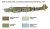 1391_profWEB-A-LR.jpg