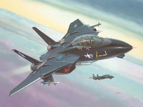 Go to product REVELL 64029 - 1:144 F-14A Tomcat
