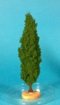FREON TOP2 - Poplar tree 14-16 cm