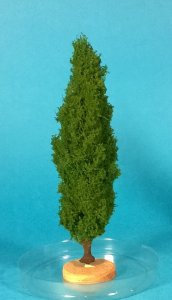 FREON TOP2 - Poplar tree 14-16 cm
