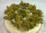 FREON KRY - Bushes with yellow flowers - 10 pcs - ht. approx. 4,5 cm