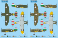 SH-48208 (2).png
