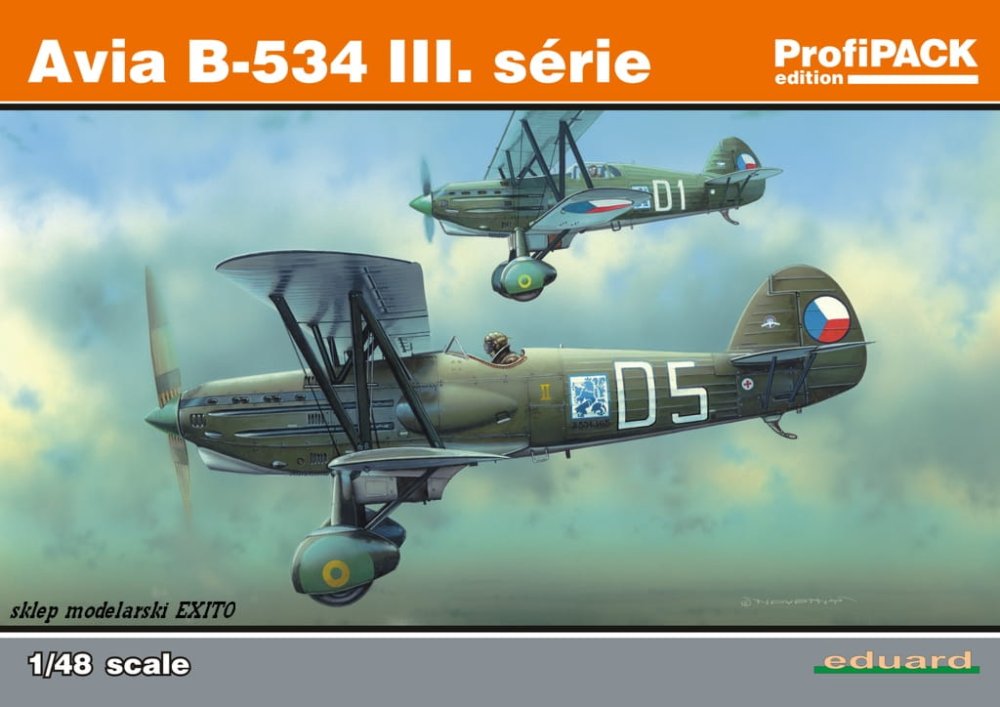 8191.jpg