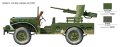 6555_profWEB-B-LR.jpg