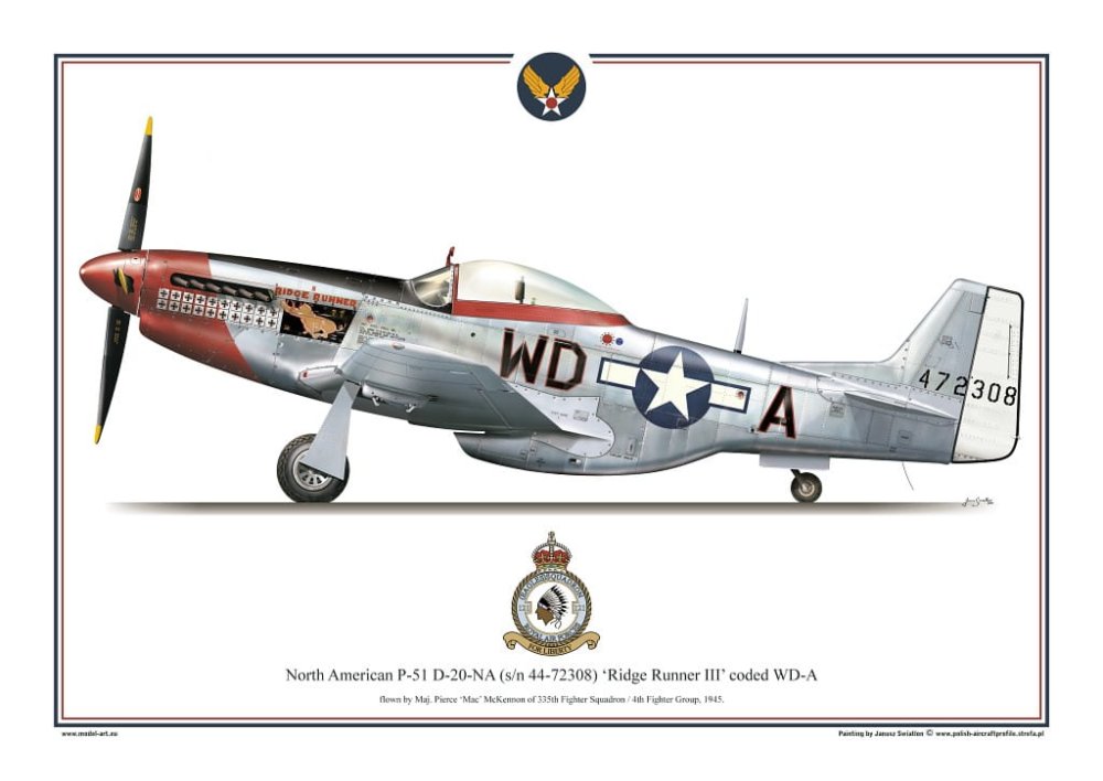 p-51d_ridge-runner.jpg