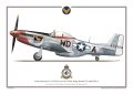 p-51d_ridge-runner.jpg