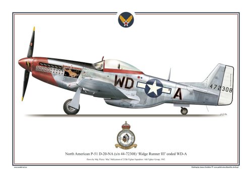 Go to product Exito 004 - Poster P-51 D Mustang - Ridge Runner III