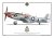 p-51d_ridge-runner.jpg