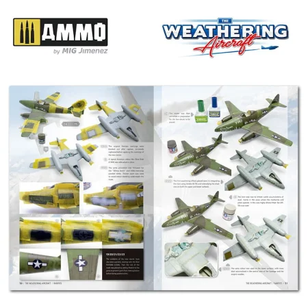 AMIG5216 (6).jpg