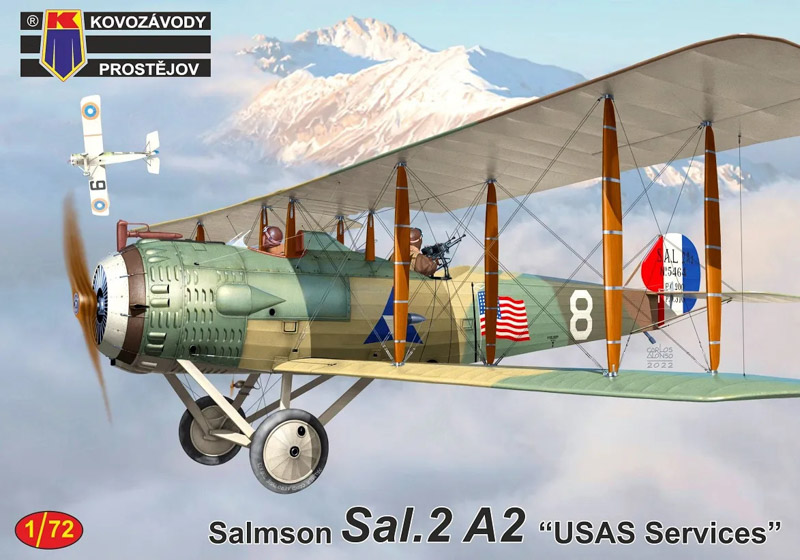 salmson aircraft model kit