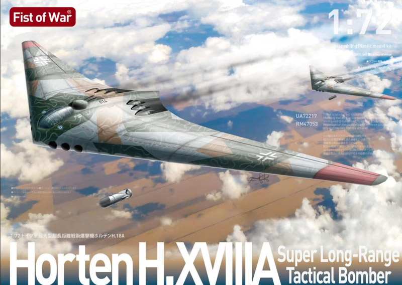 horten aircraft scale unassembled plastic kit