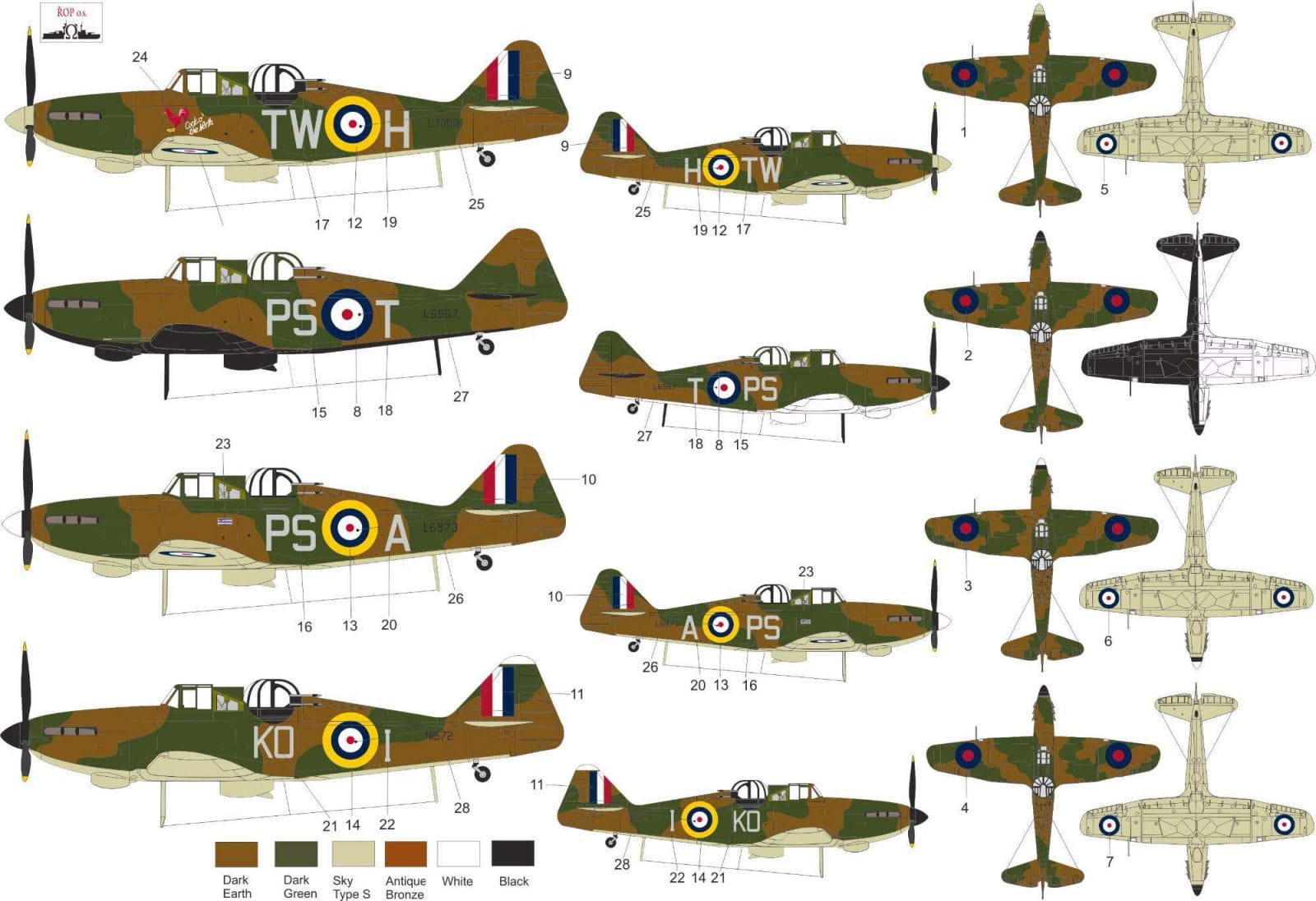 MNFDL72031  (2).jpg