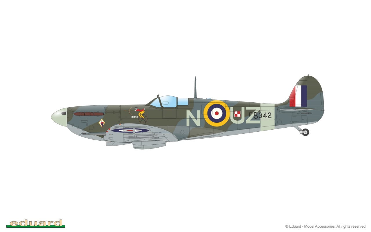 11146_10.jpg