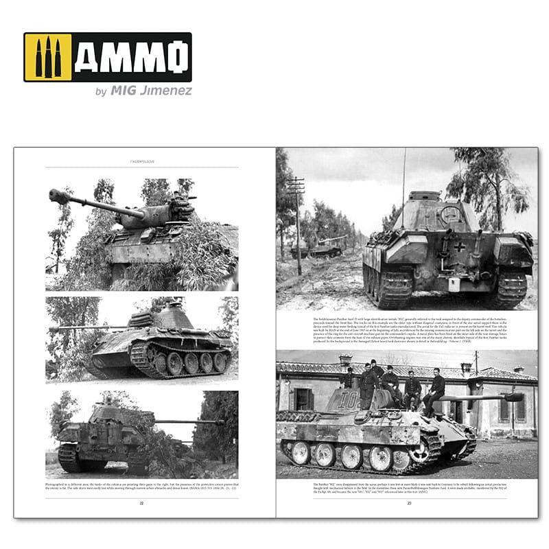 ammomig-6263 (2).jpg