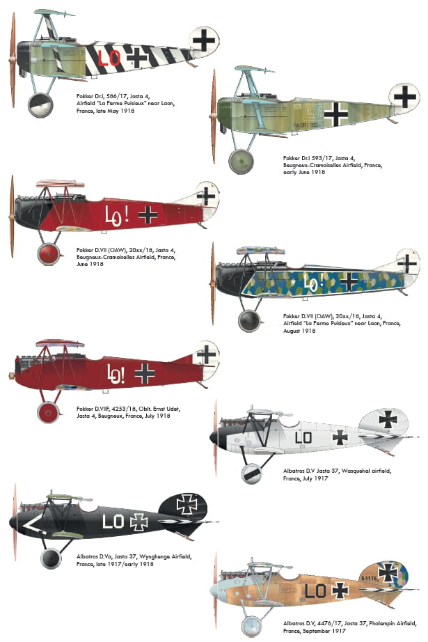 eduard-2135 camo.jpg