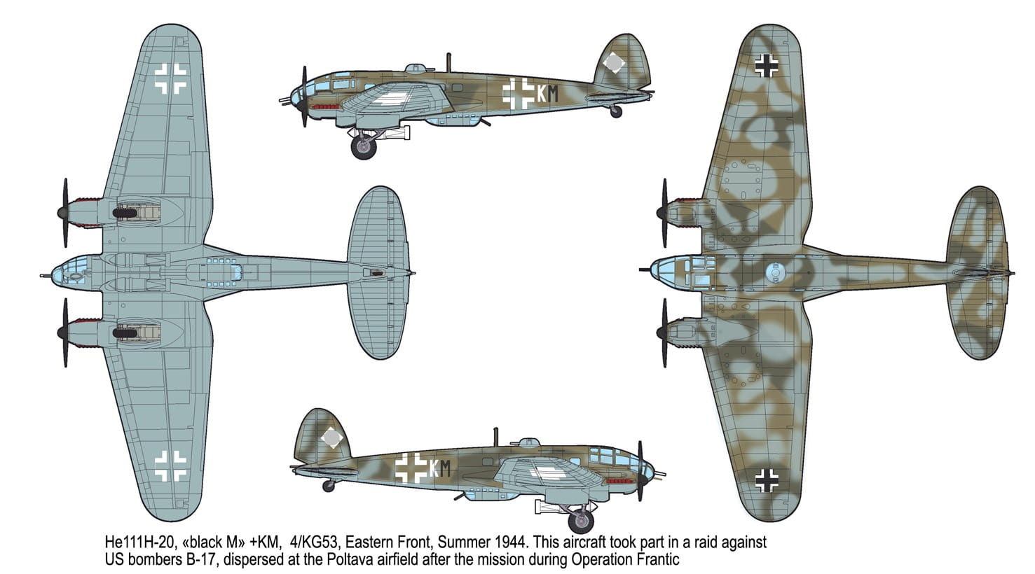 Roden-344 (2).jpg