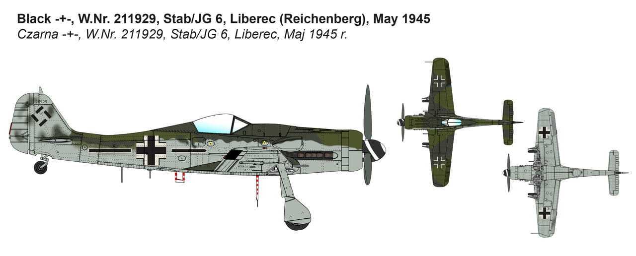 ibg72545 (1).jpg