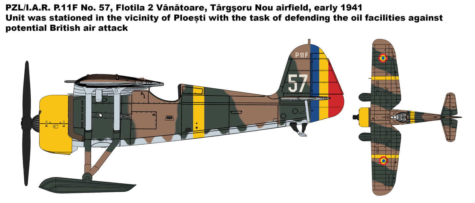 ibg-72522 (1).jpg