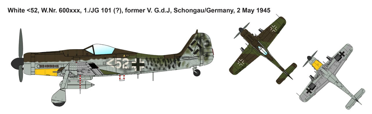 ibg-72544-fw-190-d-9 (2).jpg