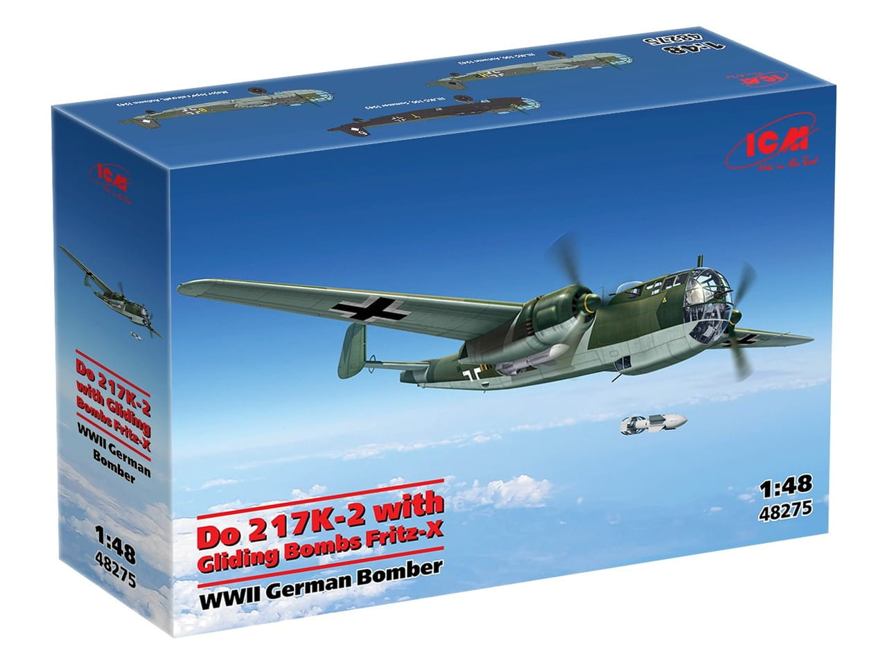 ICM-48275 (2).jpg