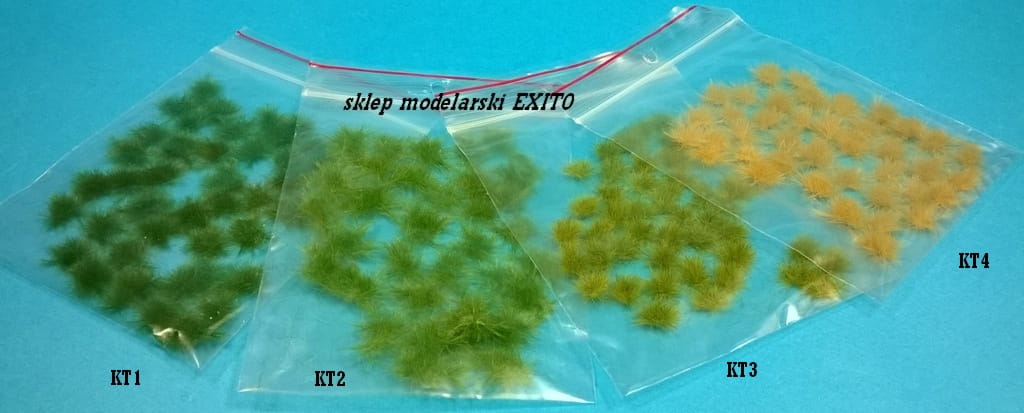 kt 1234.jpg