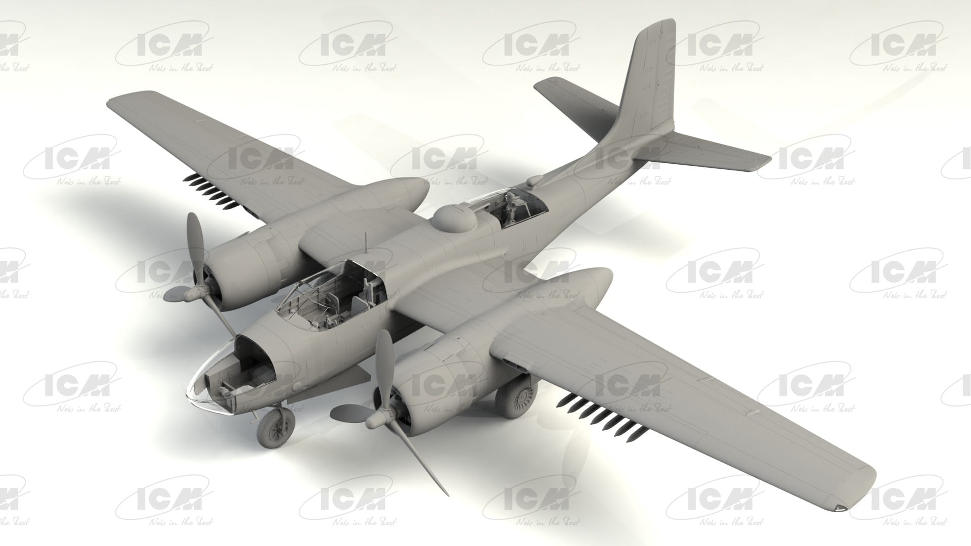 ICM-48284 (2).jpg