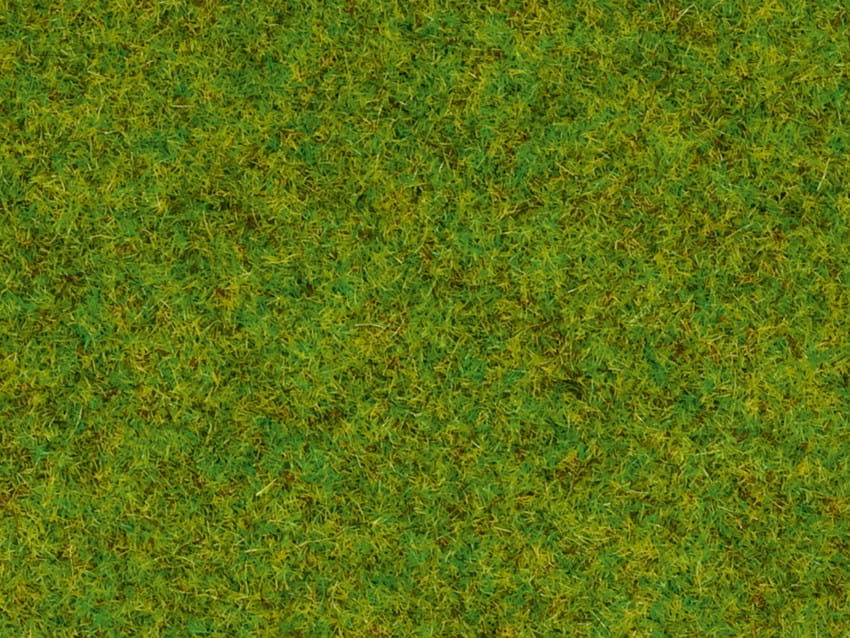 08150 1.jpg